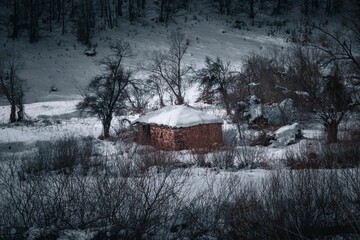 Tranquil winter scene in a rural countryside setting featuring an old cabin covered in snow