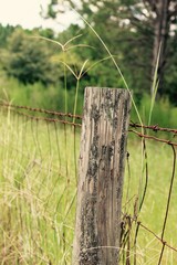 Wooden fence post in a vast meadow