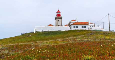 Fototapeta na wymiar View of the Atlantic coast near the lighthouse in Cabo da Roca in Portugal. The westernmost point in Europe. Flowering spring coastal plants.