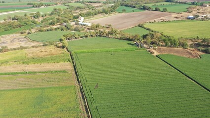 Aerial view of rural landscape with agricultural fields