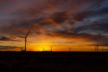 Scenic landscape featuring a line of large wind turbines under a sunset sky