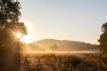 Landscape of a meadow during the sunrise in Lewisburg