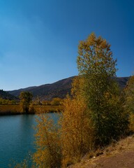 Scenic landscape with a river running alongside  a line of trees