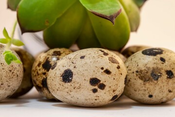 Closeup of quail eggs on a white background