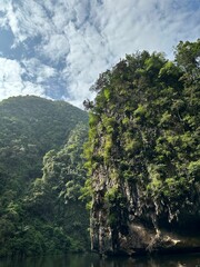 Obraz premium aerial of rocky mountains and a forest