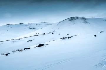 Fotobehang Group of tourists riding snowmobiles on snowy glacier mountain © Mumemories