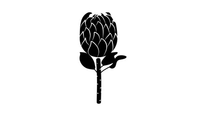 Protea flower emblem, black isolated silhouette