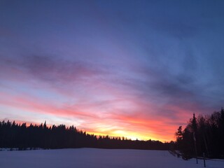 Fototapeta na wymiar Winter sunset orange sky