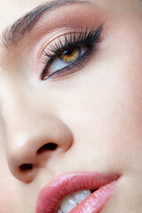 Closeup macro shot of human female face. Woman with eyes and lips beauty makeup - 773156761