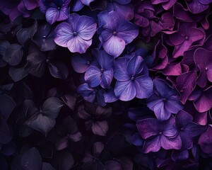 Describe the differences between the colors purple and black in terms of their emotive qualities and associations - obrazy, fototapety, plakaty