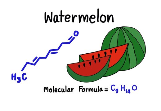 Hand drawn picture of watermelon with molecular formula. Concept, Illustration for education. Teaching aid for teaching science, Chemistry about chemical formula structure of fruits in daily life.