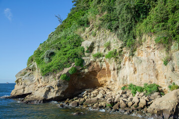Fototapeta na wymiar 猿島