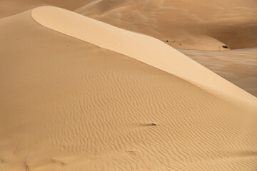 Desert sands and dunes, Siwa Oasis, Libyan Desert, Egypt - obrazy, fototapety, plakaty