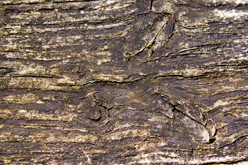 Alte verwitterte Holztextur