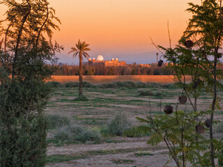 Mosquée dans une oasis dans le désert marocain