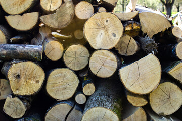 Gestapelte Holzstämme