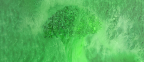 banner Fresh broccoli in cloud of green color paint in water. Artistic nutrition concept. Science...