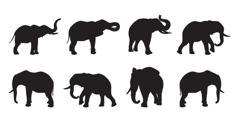 Elephant silhouette collection. set of silhouettes of animals