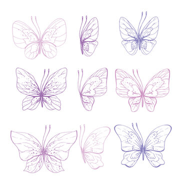 Butterflies are pink, blue, lilac, flying, delicate line art, clip art. Graphic illustration hand drawn in pink, lilac ink. Set of isolated objects EPS vector.