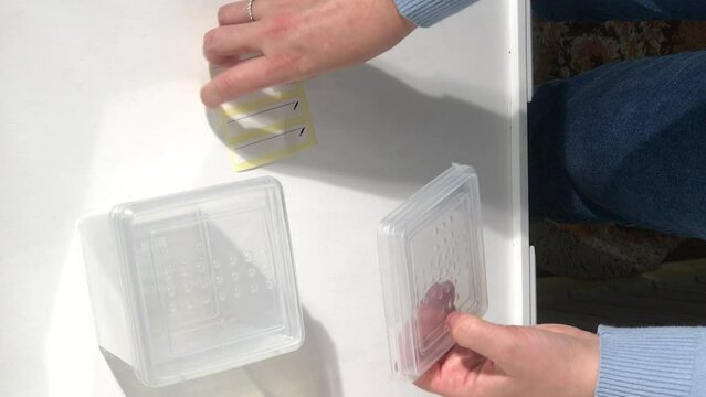 Plastic containers for freezing and storing food. A woman reviews a purchase. Vertical video