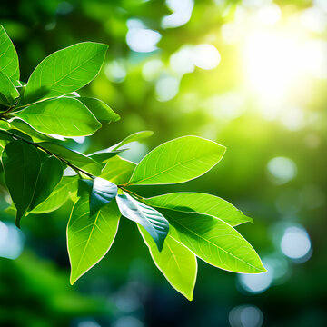 Abstract background. Blurred greenery background with sunlight. This photo was created using Playground AI 