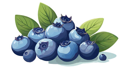 blueberry isolated on white background.