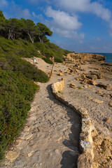 Fototapete bei efototapeten.de bestellen   