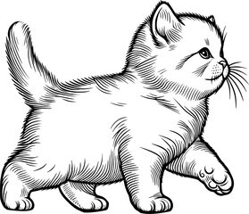Sketch of kittem, cute kitten cat hand drawn 
