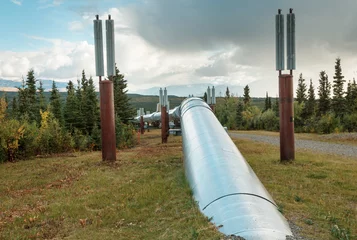 Rolgordijnen Pipeline © Galyna Andrushko