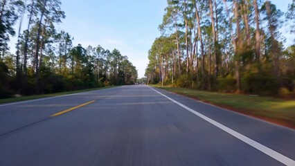 Forward driving plate on small highway bordered by pint trees