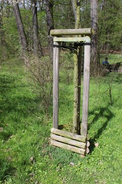 wooden support for a youg tree