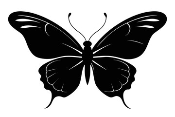 butterfly black silhouette image vector illustration, white background 