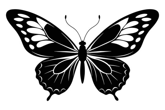 butterfly black silhouette image vector illustration, white background 