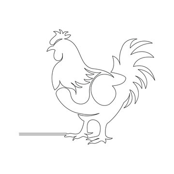 recommend clip art: one line chicken art continuous line drawing of poultry minimalist domestic animal design vector and illustration