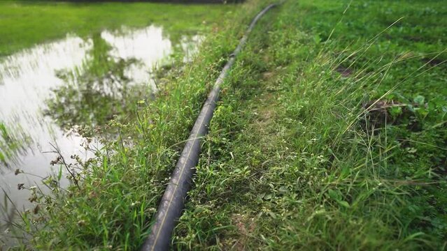 Pipeline laid in a farmer's furrow for efficient water supply to the fields images, farmer crop field furrow stock videos 