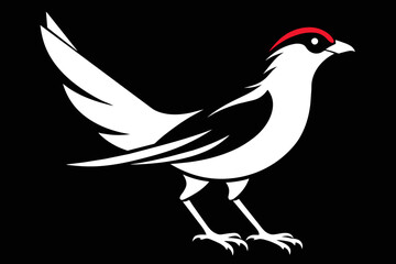 Captured a two colorful  tia  bird on a tree Silhouette black on white background 