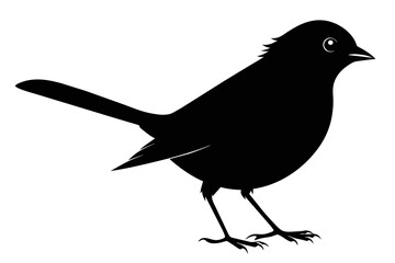 silhouette image,Abert's Towhee,vector illustration,white background