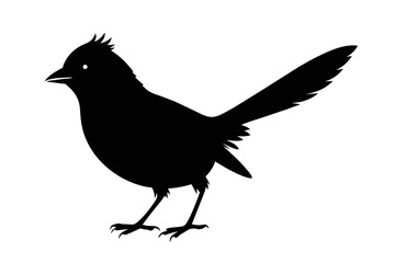 silhouette image,Abert's Towhee,vector illustration,white background