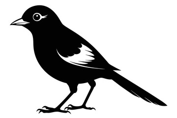 silhouette image,Abert's Towhee,vector illustration,white background