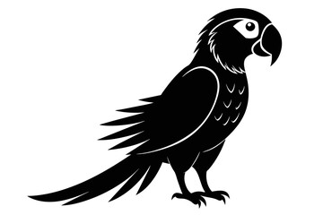 silhouette image,parrot,vector illustration,white background 