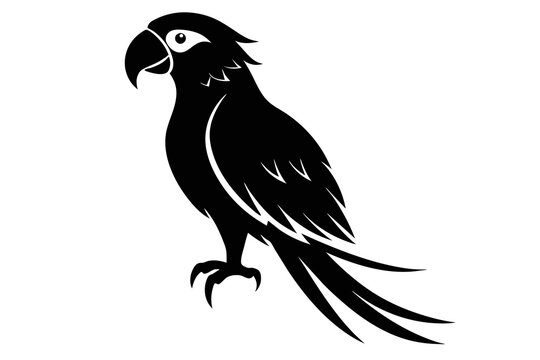 silhouette image,parrot,vector illustration,white background 