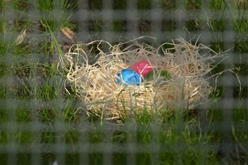 duck in the pond, Ostereier 