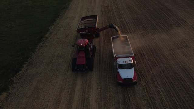 Cochrane Alberta Canada, October 02 2023: Tractor unloading grain into a dum truck aerial shot during evening light on the Canadian prairies.
