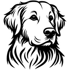 Golden Retriever Dog Illustration.