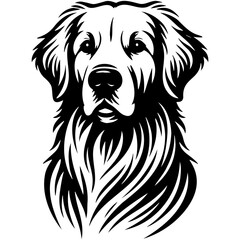Golden Retriever Dog Illustration.