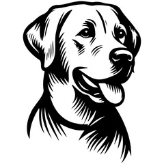 Labrador Retriever Dog Illustration.