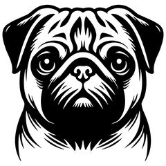 Pug Dog Illustration.