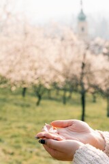 hands of a young woman with a white flower in a blooming garden in Prague