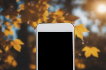 modern smartphone with blank screen at park background