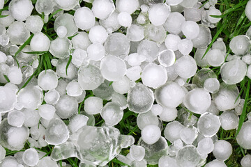 Hailstones on a garden lawn in closeup